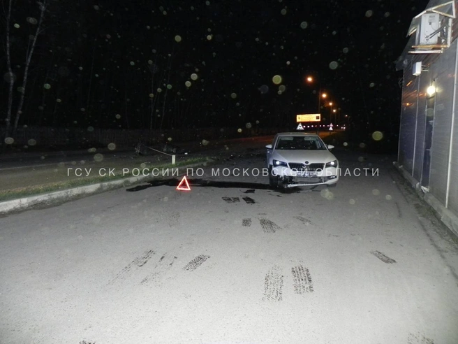 Источник: ГСУ СК России по Московской области / T.me