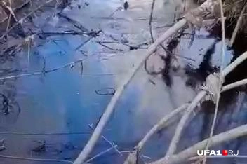 Вода покрыта черной пленкой | Источник: читатель UFA1.RU