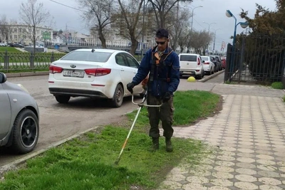В Астрахани косят сорняки и камыш на городских улицах