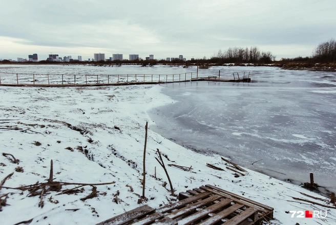 Жители Казарово говорили, что в водоеме любили купаться и рыбачить | Источник: Ирина Шарова / 72.RU
