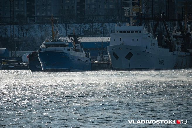 Источник: Елена Буйвол / VLADIVOSTOK1.RU