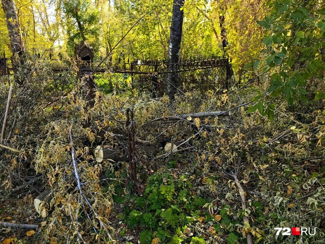 Кое-где под тяжестью срубленных стволов деревьев подкосились оградки, а где-то даже рухнули старинные памятники | Источник: Павел Красоткин / 72.RU