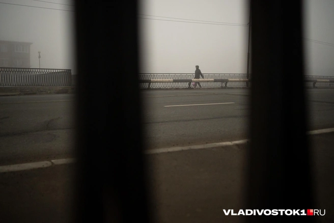 Источник: Елена Буйвол / VLADIVOSTOK1.RU