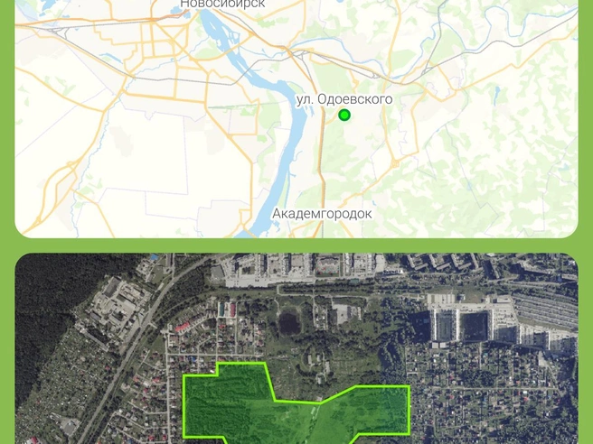 Так выглядит участок, находящийся в собственности застройщика | Источник: Юрий Орлов / Городские медиа