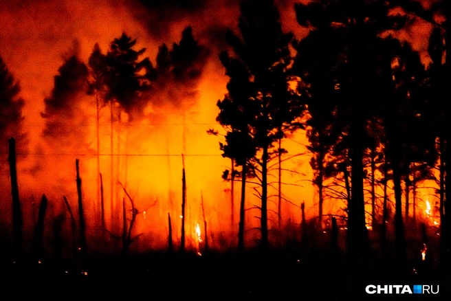 Площадь пожаров просто колоссальна | Источник: Олег Фёдоров / CHITA.RU