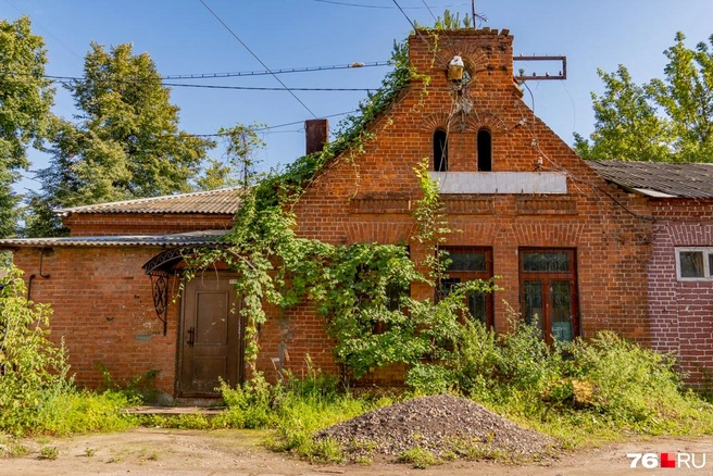 Вьюн достиг крыши | Источник: Кирилл Поверинов / 76.RU