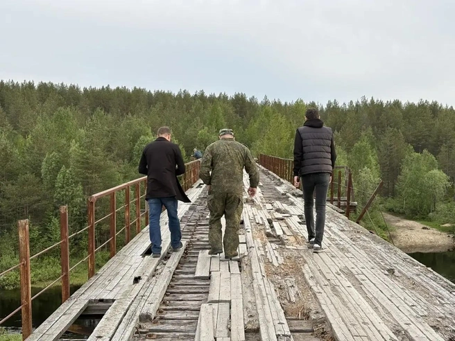 Источник: Александр Самарин / Vk.com