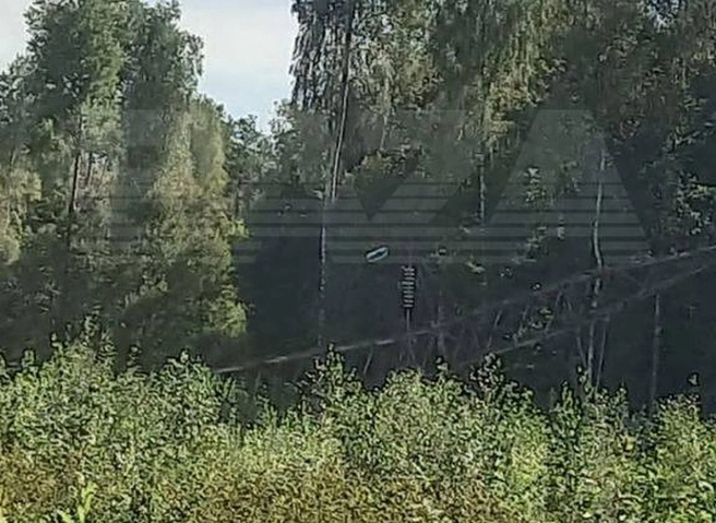 Под Брянском украинские диверсанты подорвали линии электропередачи | ya62.ru