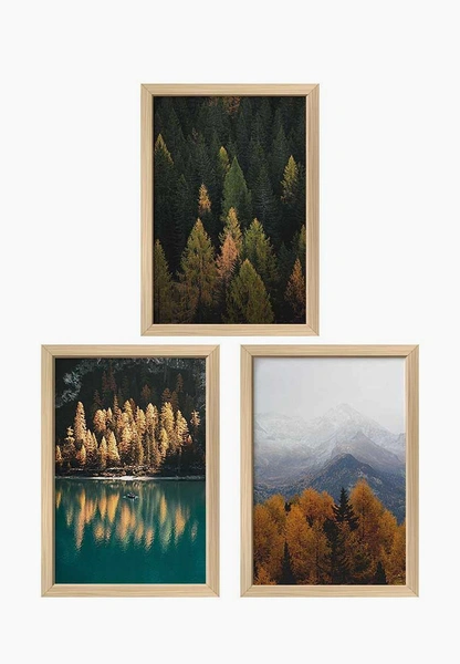 Постер Woodland 