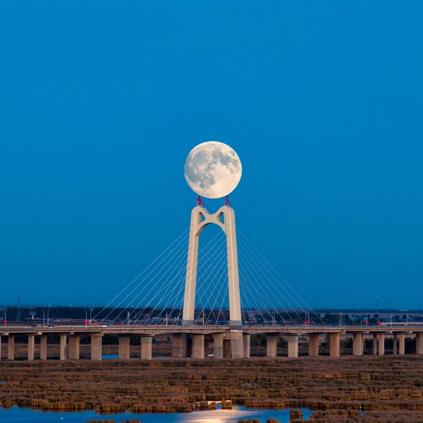 Китай, Дацин | Источник: Chi Shiyong/VCG via Getty Images