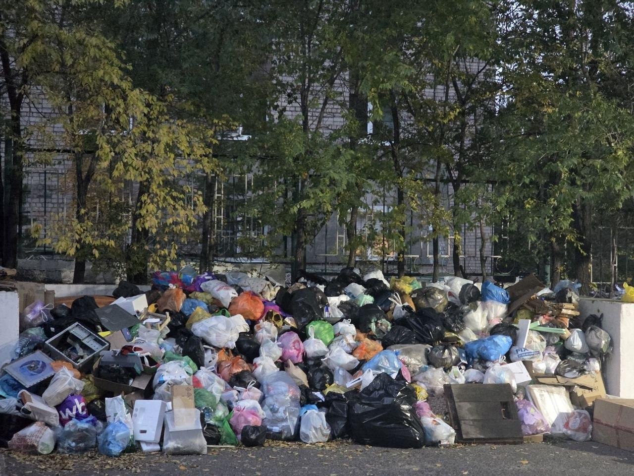 «Точечные задержки». В «Олерон+» опровергли слухи, что они больше не работают в зарастающем мусором…