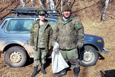 В заказнике «Семеновский» за четыре дня выявили восемь нарушений