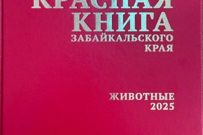 В Забайкалье выпустили обновлённую Красную книгу животных