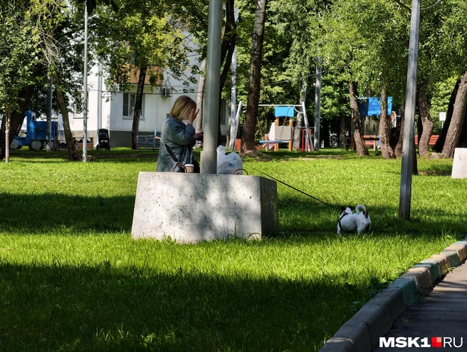 Жители Царицыно прячутся в сквере от масштабной застройки района  | Источник: Дмитрий Бондарев / MSK1.RU
