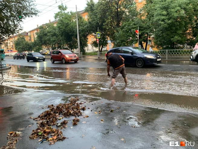 Вот сколько листьев мужчина достал из ливневки | Источник: Дарья Манохина / E1.RU