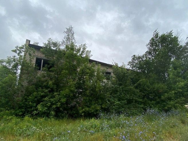 Разросшаяся трава и кустарники практически полностью скрывают здание от глаз. | Источник: Torgi.gov.ru