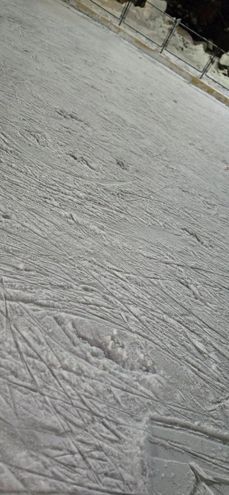 Как кататься? | Источник: Ольга / Telegram