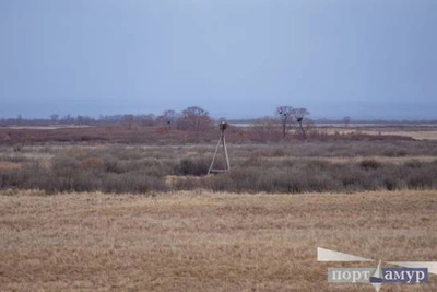 Суд подтвердил штраф компании «Амур» за пожар в заказнике