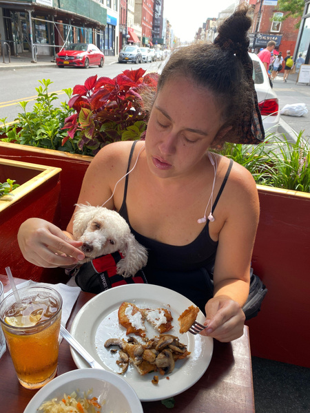Почему россияне против, чтобы в рестораны пускали с собаками?