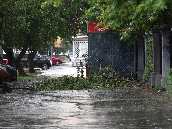 Сильный ветер повалил ветки деревьев на улице Ленина | Источник: Александр Ощепков / NGS.RU