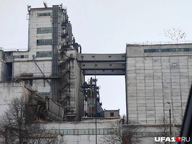 Карламанский элеватор впечатляет | Источник: Марина Каримова / UFA1.RU