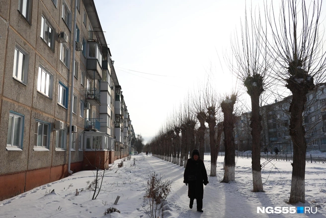 Такие деревья «украшают» множество улиц в Чкаловском, да и по всему городу | Источник: Евгений Софийчук / NGS55.RU