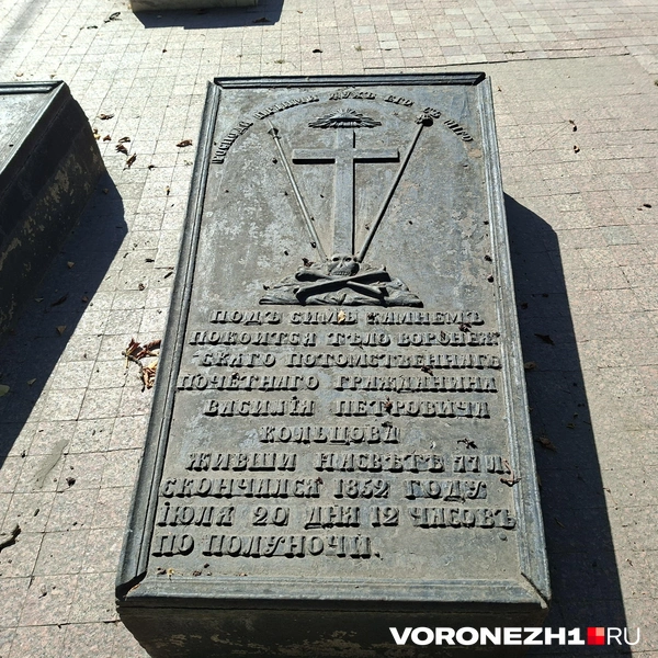 Источник: Алёна Воропаева / Voronezh1.ru