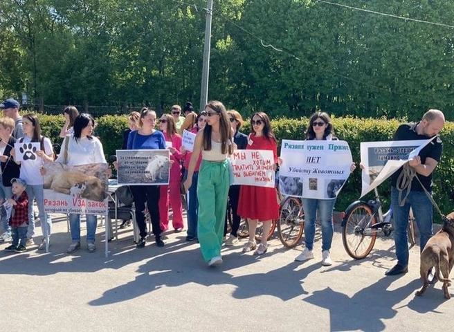 Рязанские зоозащитники проведут еще один митинг против усыпления бездомных животных | ya62.ru