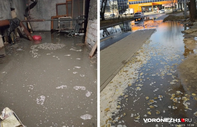 Потом никто не занимается больше пяти дней | Источник: читательница Voronezh1.ru