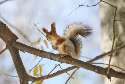 Аномальное тепло и снег в Якутии на выходных