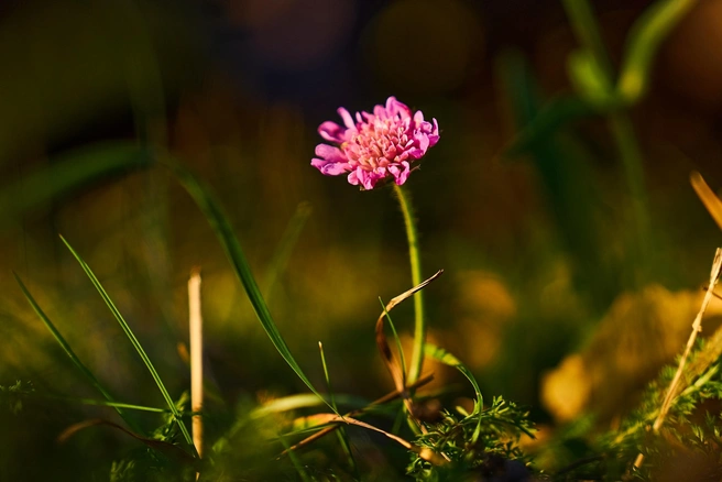 Источник: Фотограф Ирина Лаптева Ханты-Мансийск / Vk.com