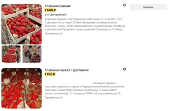 Источник: avito.ru