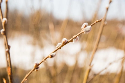 Климатолог объяснила изменения погоды в Алтайском крае