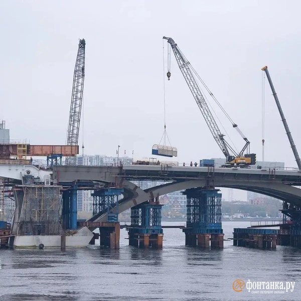 Источник: Сергей Николаев / «Фонтанка.ру»