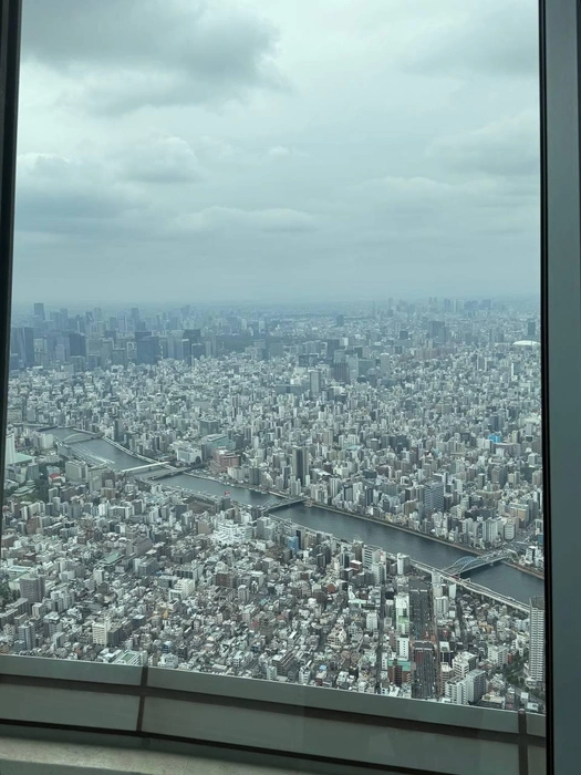 Вид на Токио | Источник: личный архив