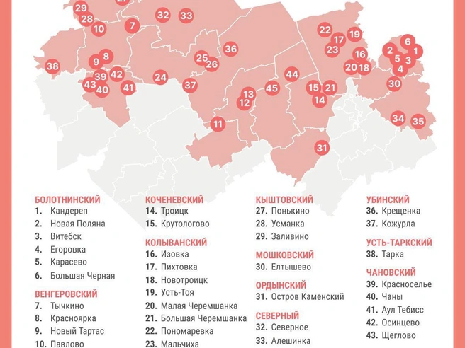 Больше всего медведей видят в Колыванском районе | Источник: Юрий Орлов / Городские порталы
