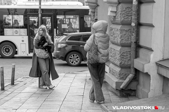 Источник: Елена Буйвол / VLADIVOSTOK1.RU