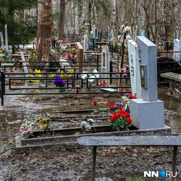 Источник: Наталья Бурухина / NN.RU