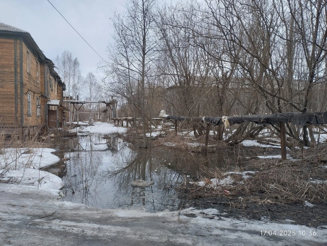 Фото, сделанное местным жителем | Источник: Сергей Галашев / Открытый Архангельск / Vk.com