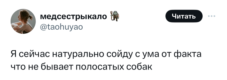 Шутки среды и нумерология