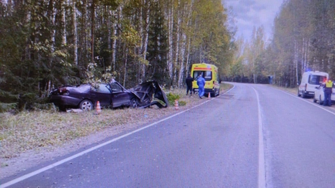 Смертельное ДТП устроил нетрезвый водитель в Тихвинском районе Ленобласти | Источник: ГУ МВД России по Петербургу и Ленобласти