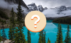        :    5 ?