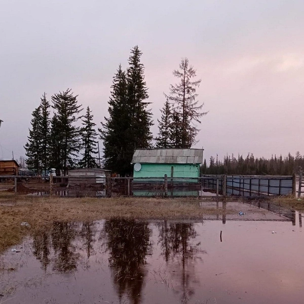 Восемь дворов затопило | Источник: Мирнинский рабочий / T.me