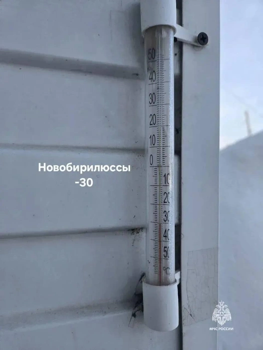 А на фоне — куча снега | Источник: МЧС Красноярского края / MAX