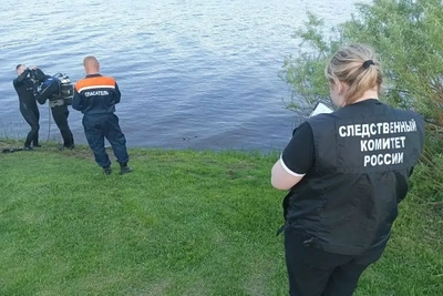 Уголовное дело после гибели двух детей в Псковской области