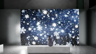 Самые яркие события ноября 2024: выставки, спектакли, премьеры