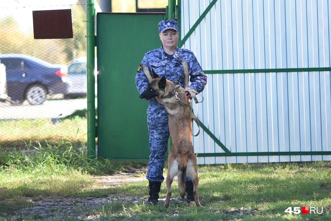 Источник: Надежда Достовалова