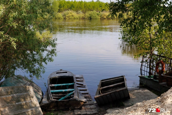 Даже такое количество воды нарушило привычную жизнь СНТ | Источник: Ирина Шарова / 72.RU