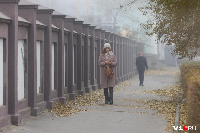 А вы верите, что причиной вони на улицах города является туман? | Источник: Алексей Волхонский / V1.RU