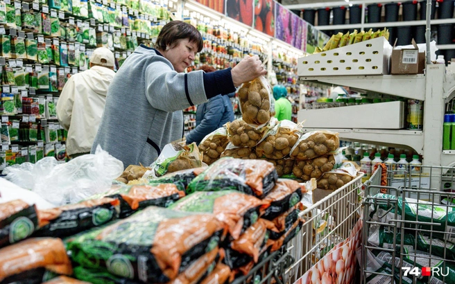 Среди внезапно подорожавших продуктов оказалась и картошка | Источник: Наталья Лапцевич / 74.RU